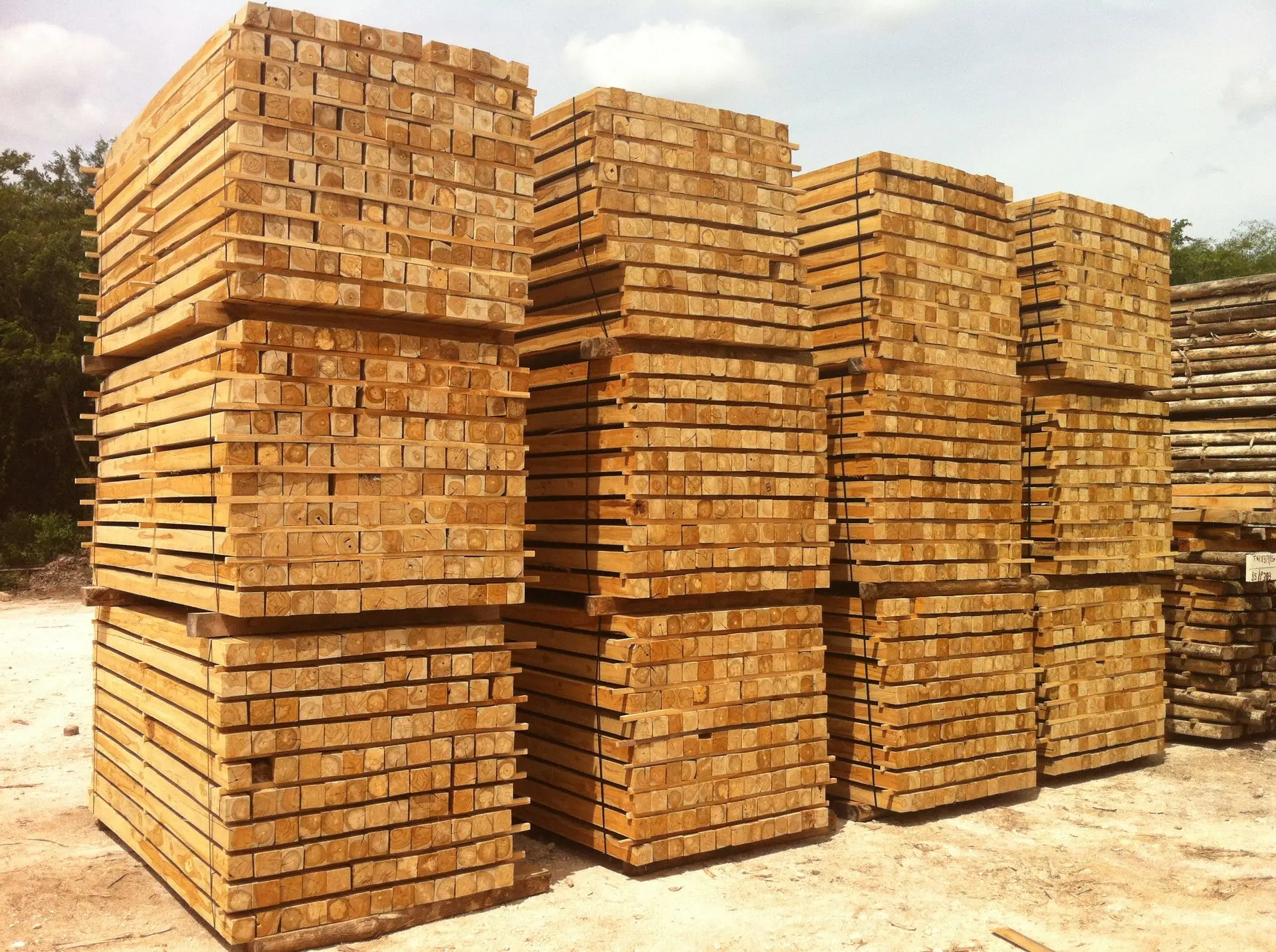 bloques teca